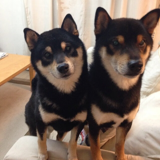 西决复盘,30秒地狱到新生天梯,绝杀王如何在死地铸就后生?