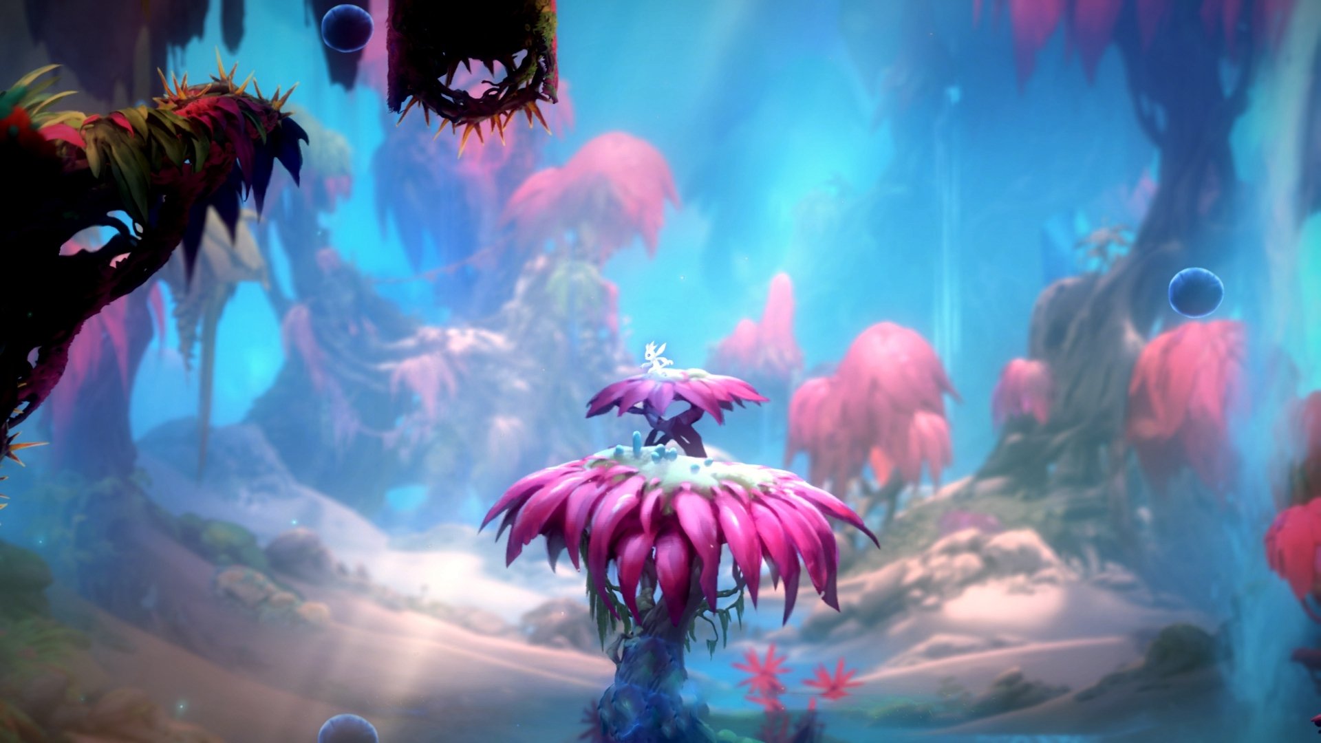 橘色风暴中的格鲁吉亚闪电，克瓦拉茨赫利亚一脚改写历史的加时传奇