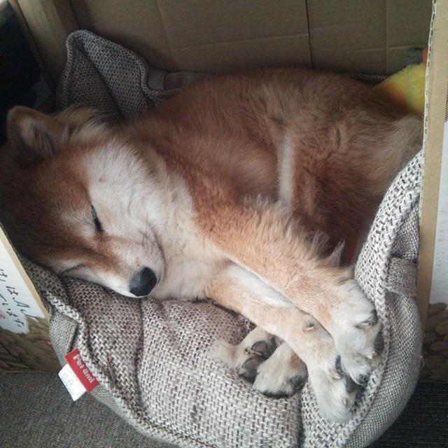 沉默的统治力,雷霆取胜不是靠炸裂,而是贝恩的致命精准