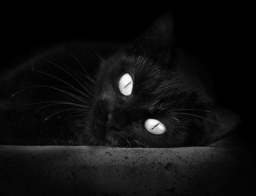 布克化身边缘觉醒者,用一记绝命抢断改写马刺命运