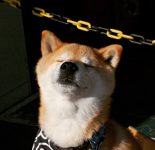 当精密齿轮碾碎红魔，若日尼奥的无解与冰岛足球的踏平哲学