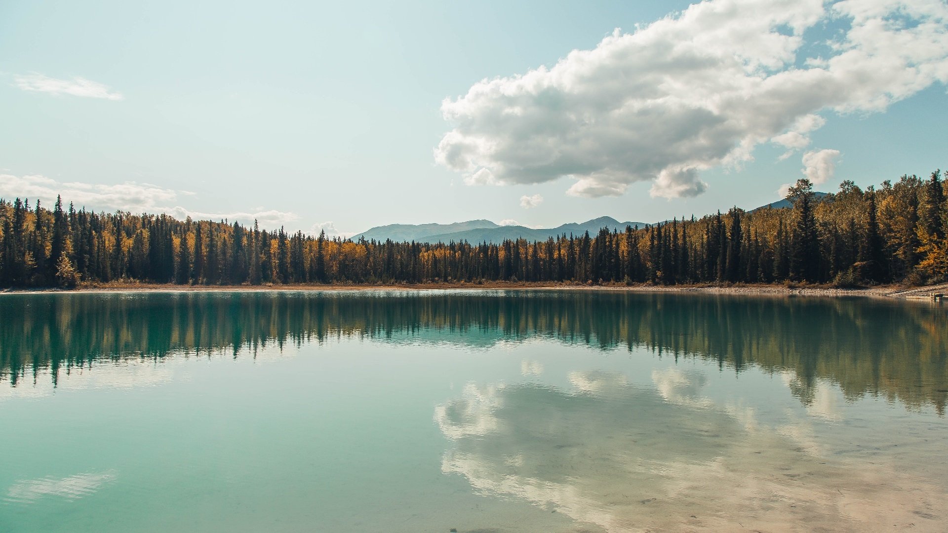 枫叶与铁塔的较量，三笘薰一箭穿心刷新亚洲球员身价纪录