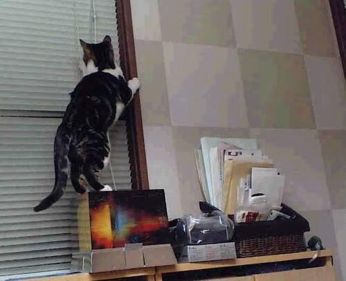 新生代接管比赛！马克西50分如陨石砸落，雄鹿加时赛砥砺争冠之心