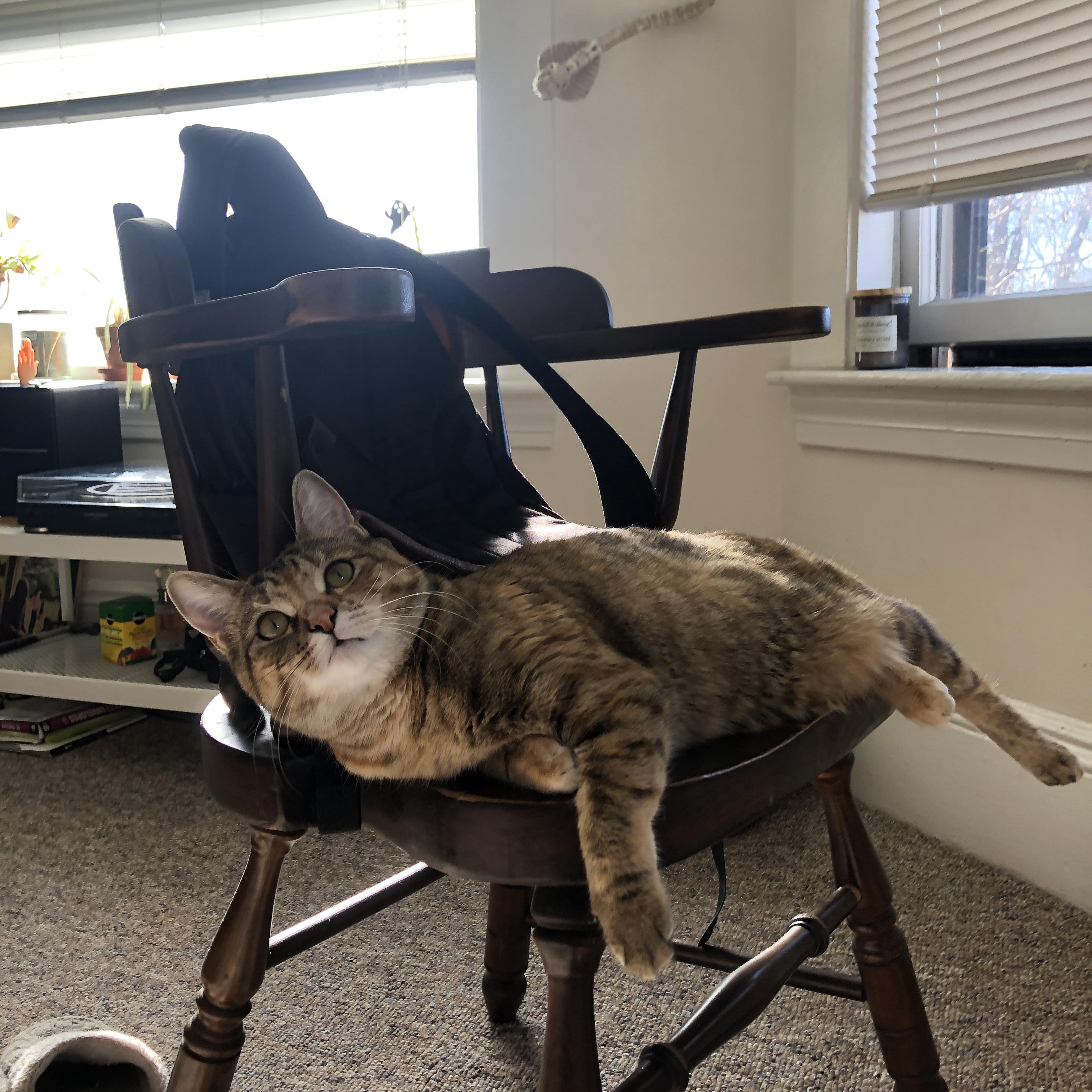 神锋卢卡库连续爆发！友谊赛上演焦点战，比利亚雷亚尔力克安哥拉