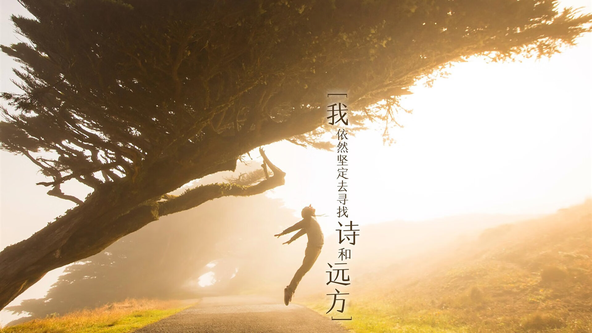 小人物大心脏，马克西血染征袍，浙江饮恨四强战