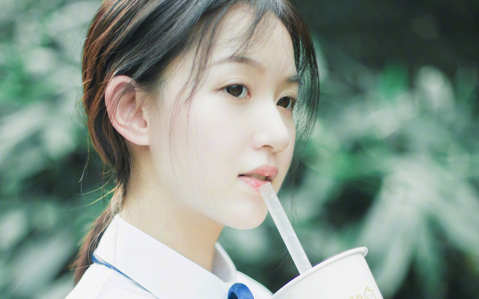 北非雄鹰折翼地中海蓝狮，格列兹曼的最后一舞，如何用大师级表演书写2026世界杯E组唯一剧本