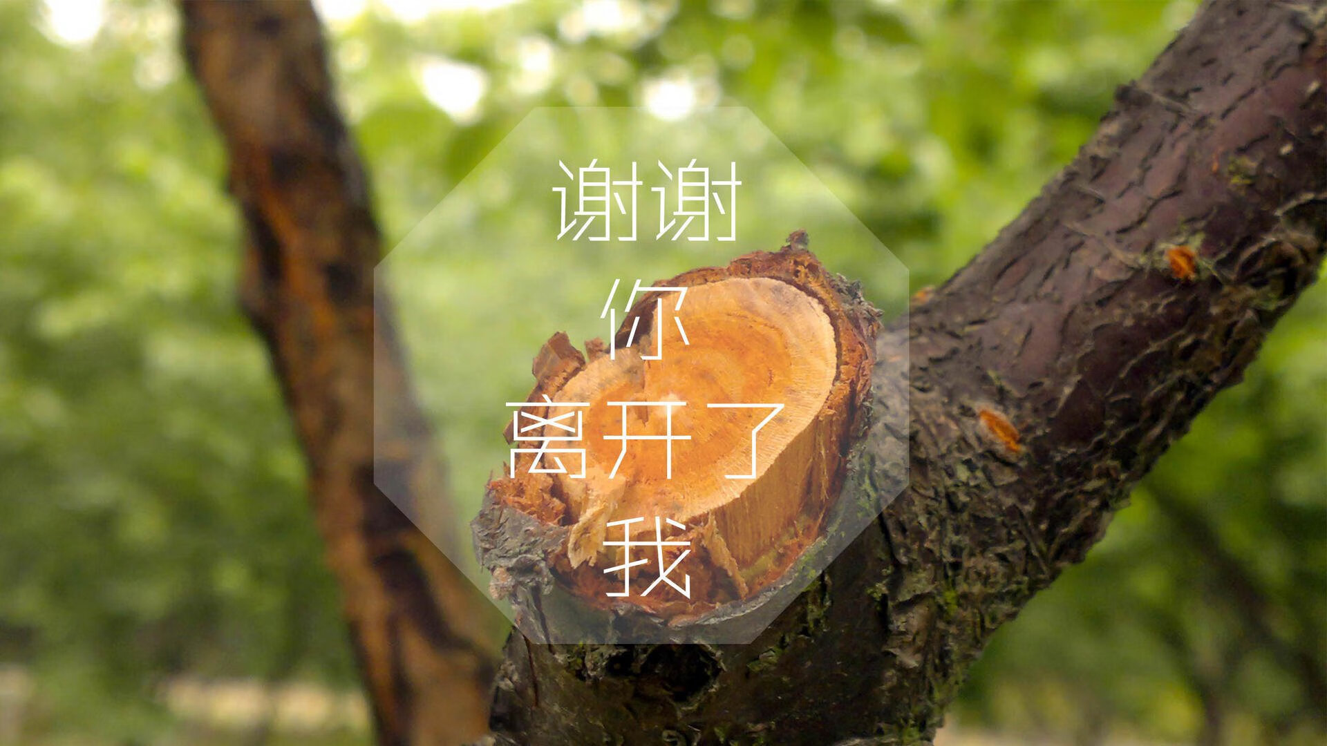 生死时速,B组关键战泰国爆冷逆袭,B费导演葡萄牙大胜,状态如日中天