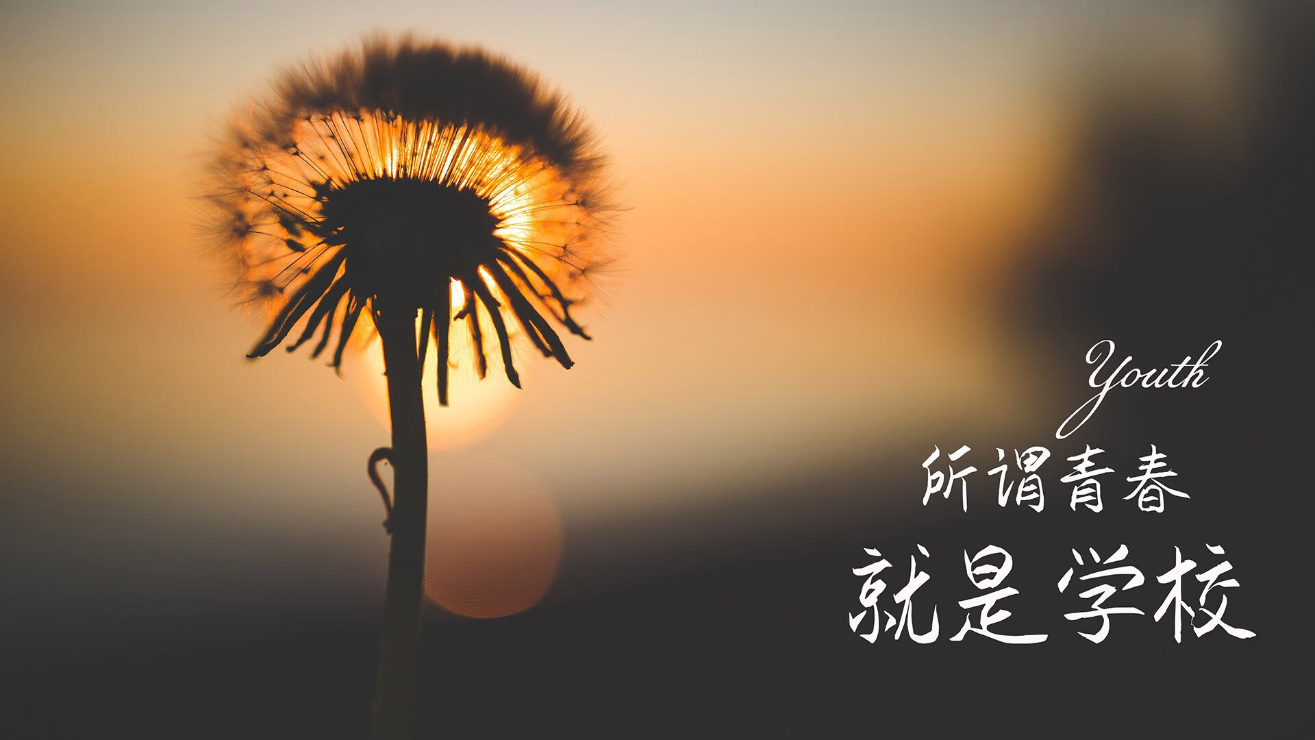 开云sport-北欧童话续写奇迹,阿方索·戴维斯绝杀封神,丹麦力克哥斯达黎加加冕2026世界杯