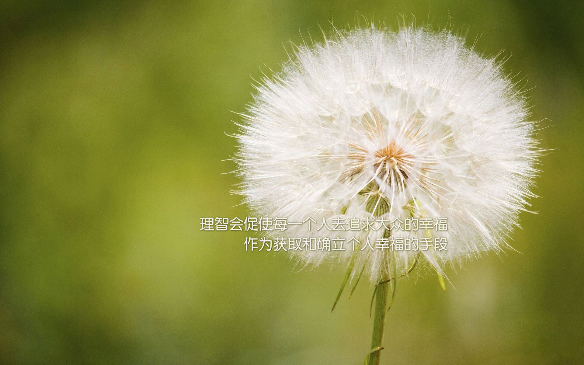 蒙得维的亚的救赎，坎塞洛的叛徒之名，与乌拉圭一秒定江山的唯一史诗